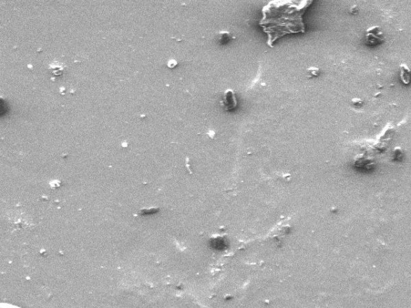 SEM-capture of dust-particles. Photo: Bill Wei.